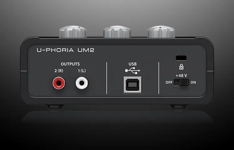 Behringer UM2