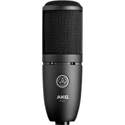 AKG P120 Condenser Stüdyo Kayıt Mikrofon - Thumbnail