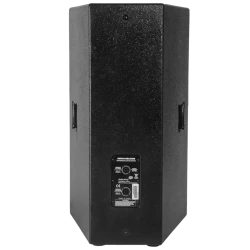Audac PX115MK2/W 15