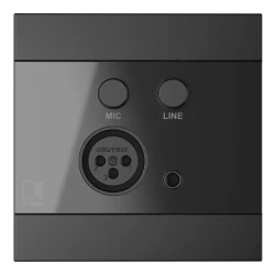 Audac WP205/B Duvar Paneli - Thumbnail