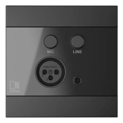 Audac WP210/B Dijital Mikrofon ve Line Giriş Paneli - Thumbnail