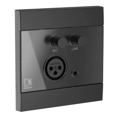 Audac WP210/B Dijital Mikrofon ve Line Giriş Paneli - Thumbnail