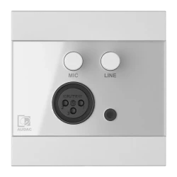 Audac WP210/W Dijital Mikrofon ve Line Giriş Paneli - Thumbnail