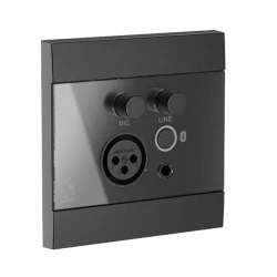 Audac WP225/B Duvar Mikrofon, Line ve Bluetooth Bağlantı Paneli - Thumbnail