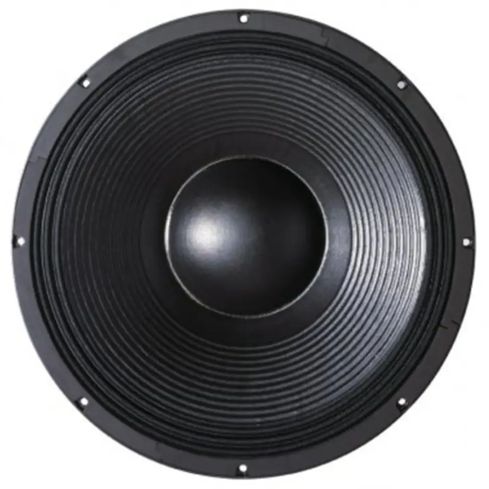 B&C 21 SW 152 4000 Watt Çıplak Subbass Hoparlör