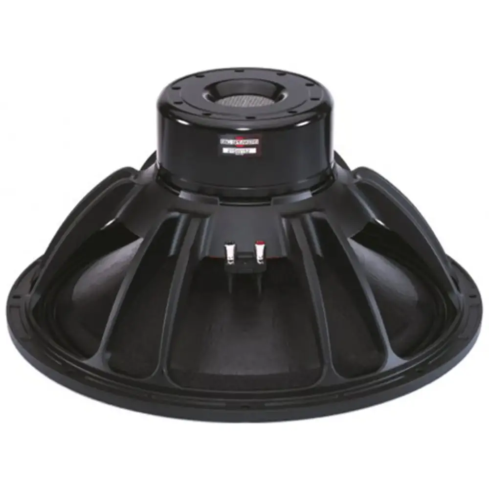 B&C 21 SW 152 4000 Watt Çıplak Subbass Hoparlör
