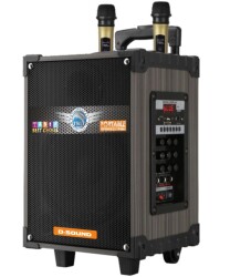 D-Sound - D-Sound DS-912 3 Kanal Taşınabilir Şarjlı Hoparlör