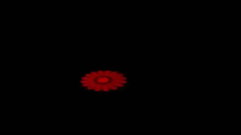 Eclips Flower Scan