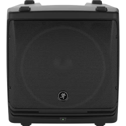 Mackie DLM 12 12
