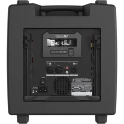 Mackie DLM 12 12