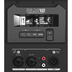 Mackie DLM 12 12