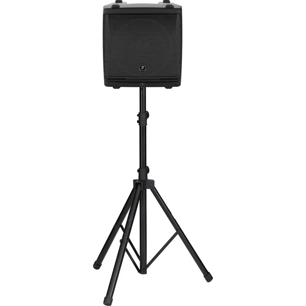 Mackie DLM 12 12