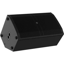 Mackie DRM 215 P 15