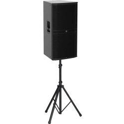 Mackie DRM 315 3 Yollu 15