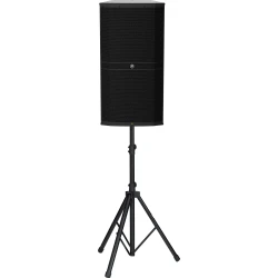 Mackie DRM 315 3 Yollu 15