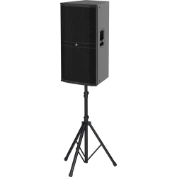 Mackie DRM 315 3 Yollu 15