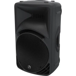 Mackie SRM 450 V3 12