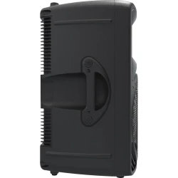 Mackie SRM 450 V3 12