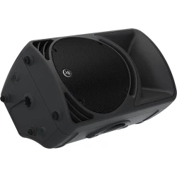Mackie SRM 450 V3 12