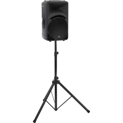 Mackie SRM 450 V3 12