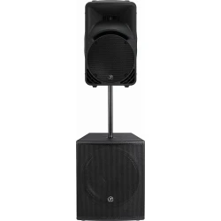 Mackie SRM 450 V3 12