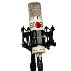 Mojave Audio - Mojave Audio MA-1000DS