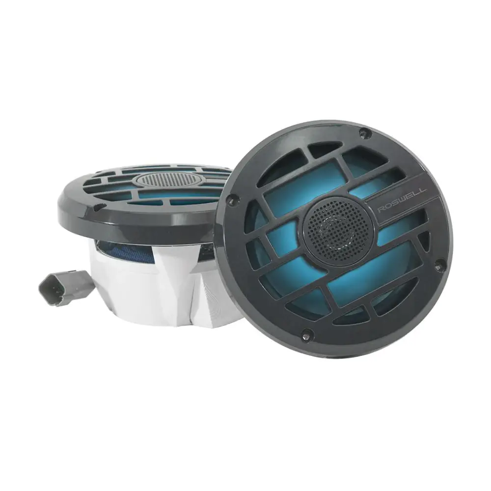 ROSWELL C920-1902 R 6.5 INC Bot-Tekne Hoparlör