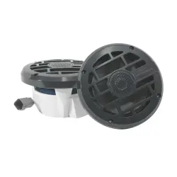 ROSWELL C920-1902 R 6.5 INC Bot-Tekne Hoparlör - Thumbnail