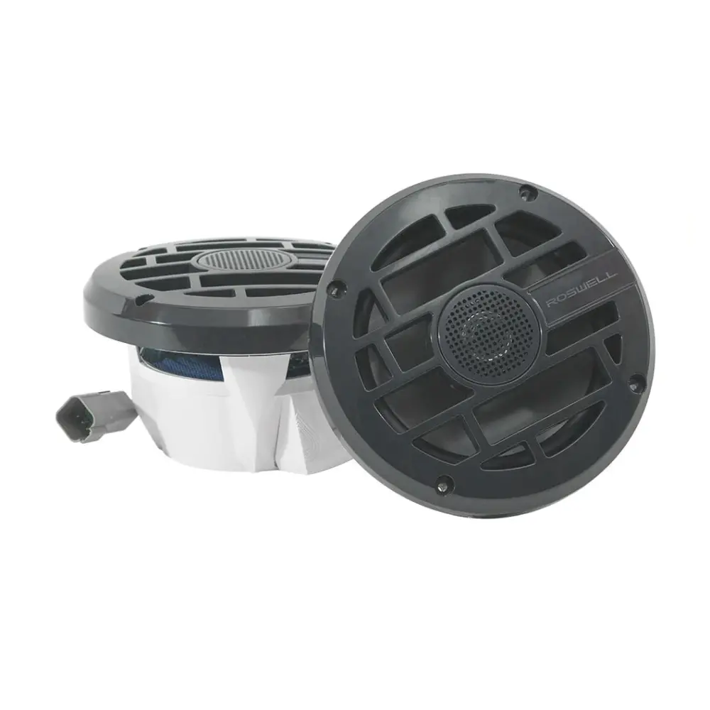ROSWELL C920-1902 R 6.5 INC Bot-Tekne Hoparlör