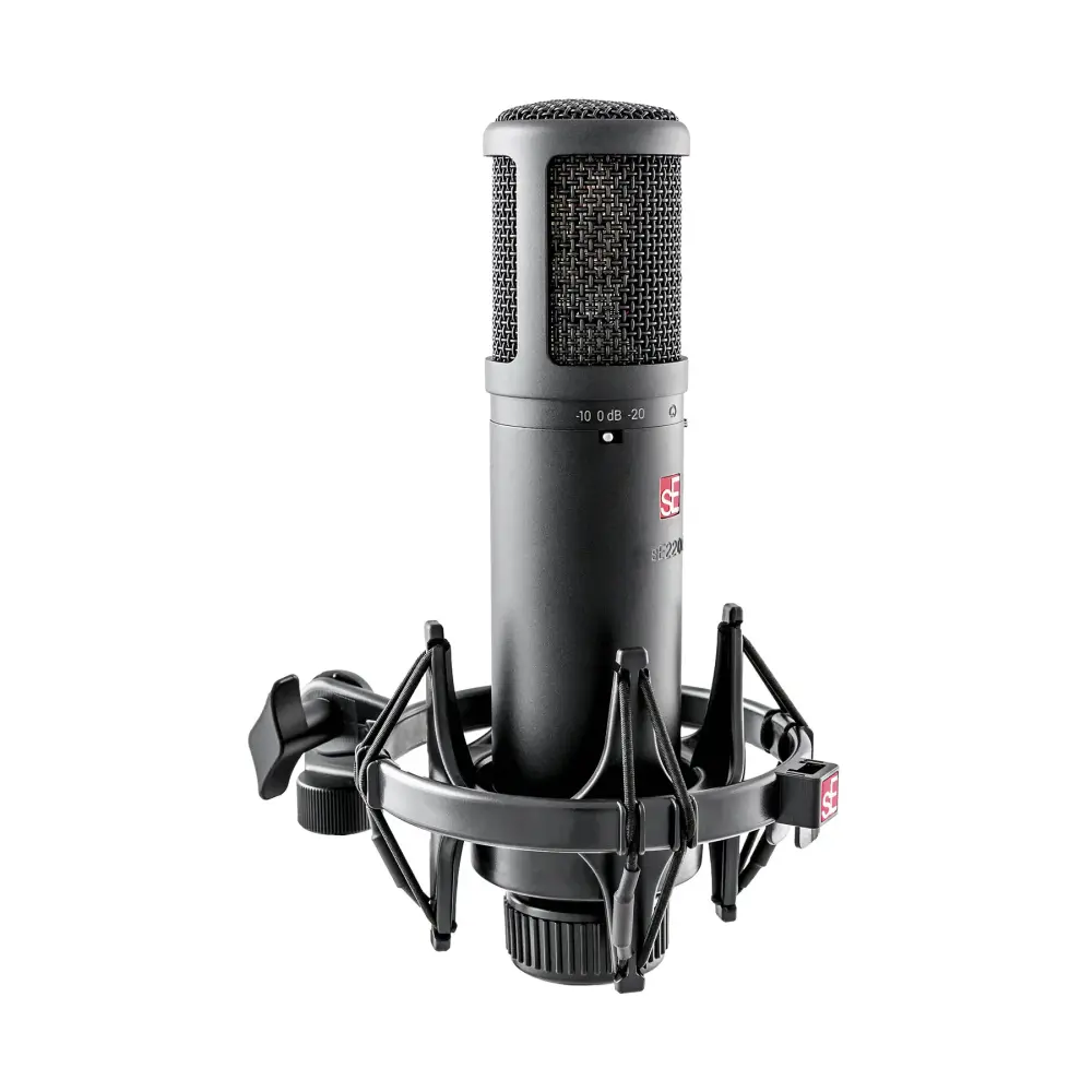 sE Electronics sE2200 Geniş Diyaframlı Condenser Mikrofon